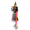Picture of RAINBOW WITCH COSTUME 3-4 YEARS